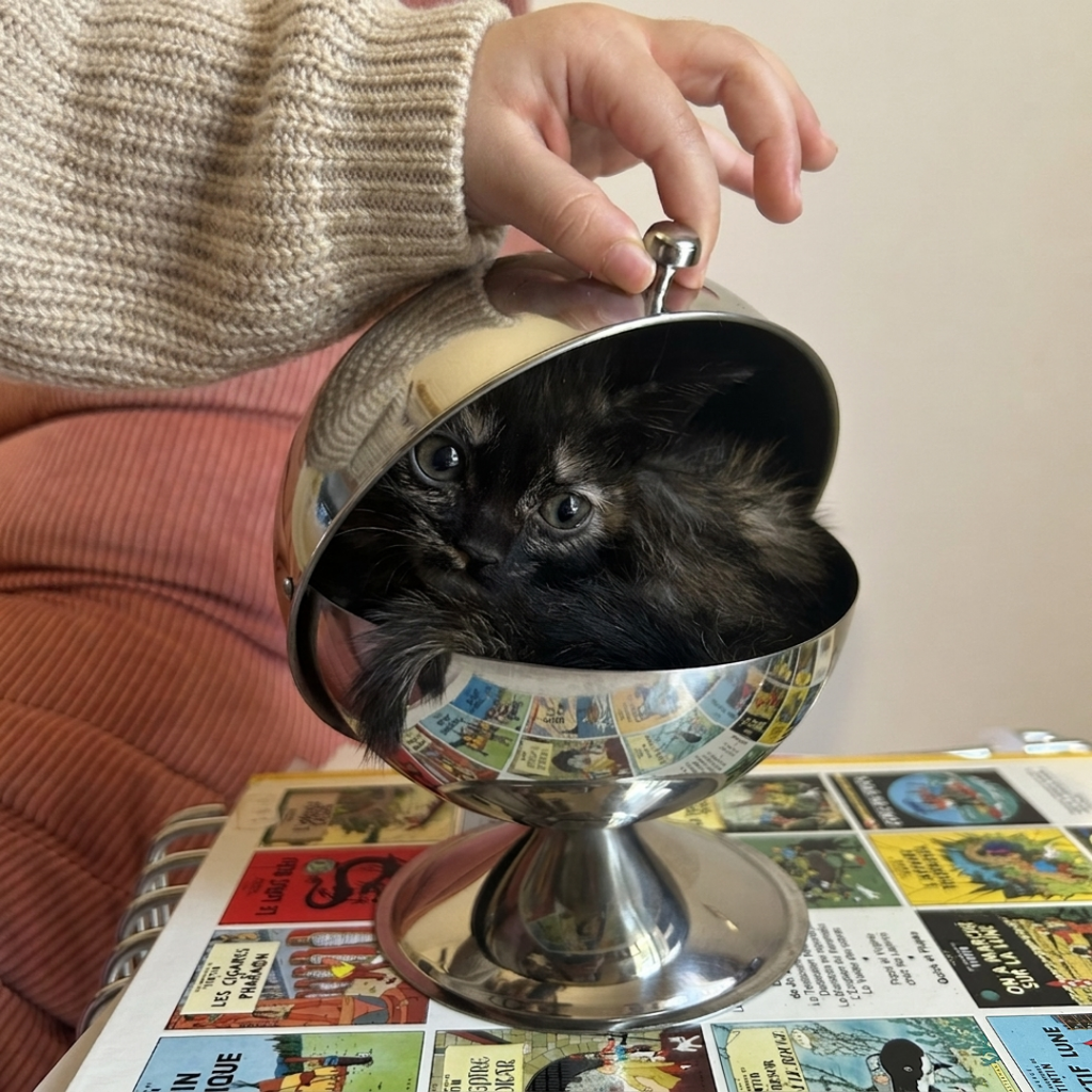 SPUTNIK Storage Bowl