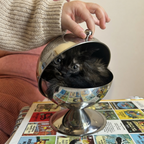 SPUTNIK Storage Bowl